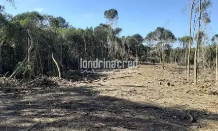 Terreno à venda 27772M², Zona Rural, Almirante Tamandaré - PR
