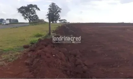 Terreno à venda no Centro, Arapongas 