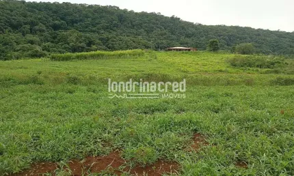 Chácara à venda 4 Quartos, 133100M², Zona Rural, Tamarana - PR
