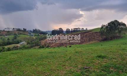 Chácara / sítio à venda no Áreal Rural de Castro, Castro 