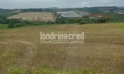 Chácara à venda 24200M², Zona Rural, Apucarana - PR