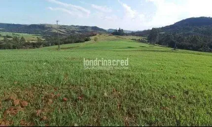 Chácara à venda 212960M², Zona Rural, Tamarana - PR