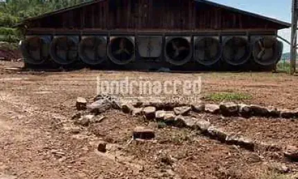 Chácara / sítio à venda na Zona Rural, Tamarana 