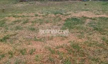 Terreno à venda, Loteamento Morada das Flores, Cambé, PR