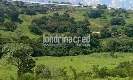 Chácara / sítio à venda na Zona Rural, Cornélio Procópio 