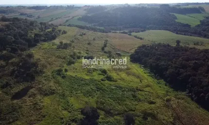 Chácara / sítio à venda na Zona Rural, Assaí 