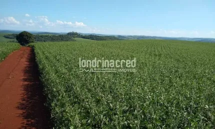 Terreno à venda na Zona Rural, Assaí 