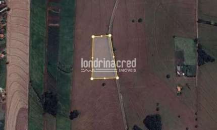 Chácara à venda, Patrimônio Regina, Londrina, PR Excelente Terreno Localizado na Rodv. Mabio Gonçal