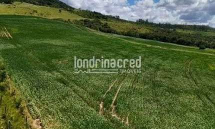 Excelente Sítio em Arapoti-PR: 169.400m² de Área Total para Lazer, Investimento ou Agricultura