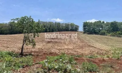 Sítio de 8 Alqueires em Uraí-PR, com 80% de área aproveitada para plantio de Soja, próximo à BR 369