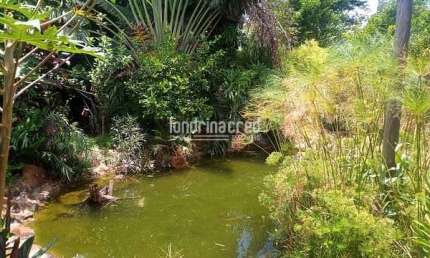 Chácara para Venda 6000M², Conjunto Vivi Xavier, Londrina - PR