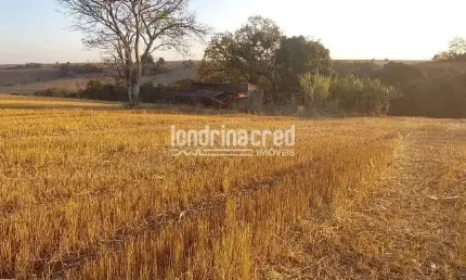 Vendo terreno de 40.000m² próximo a ibiporã – ótimo para investimento, loteamento, agricultura ou c