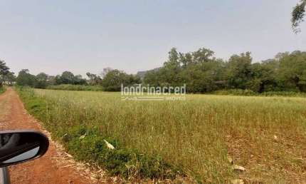 Investimento Imbatível! Lote 72.600m² em Ibiporã. Pronto para Loteamento ou Indústria. IPTU 2025 Pa