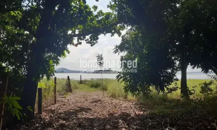 Chácara no Condomínio Piapara em Alvorada do Sul com 2.260m², 3 quartos, árvores frutíferas, café e