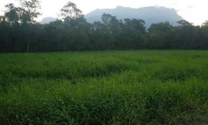 Terreno à venda, 3027.00 m2 por R$120000.00  - Zona Rural - Morretes/PR
