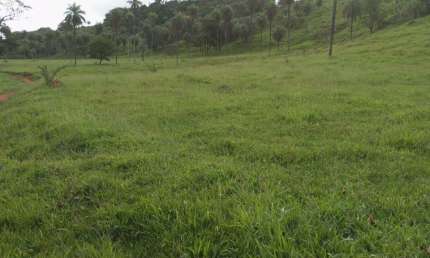 Chácara / sítio com 4 quartos à venda na Área Rural, 98, Área Rural de Santo Antônio do Descoberto, Santo Antônio do Descoberto