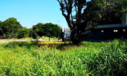 Lindo Terreno com 701m2 no Amoraeville, Jurerê Internacional