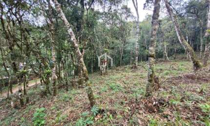 Terreno à venda no Recanto Araucária, Campos do Jordão  por R$ 250.000