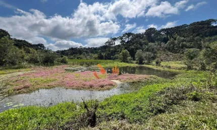 Chácara 3 dormitórios à venda, 121000 m² em Campina Grande do Sul/PR