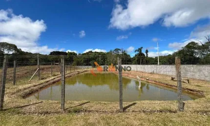 Chácara com 4 dormitórios à venda, 23600 m² por R$ 1.800.000,00 - Timbú Velho - Campina Grande do Sul/PR
