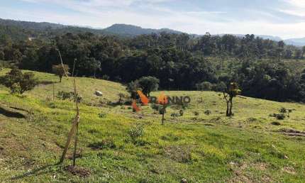 Fazenda à venda na Rodovia BR-376, Campo Largo da Roseira, São José dos Pinhais