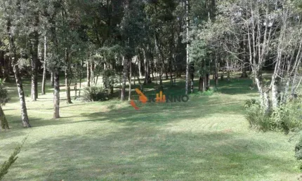 Chácara / sítio com 3 quartos à venda na Rodovia BR-277 Curitiba Ponta Grossa, Centro, Campo Largo