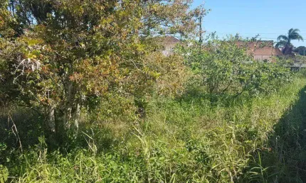 Terreno à venda, 398 m² por R$ 180.000,00 - Bal Raul Cury - Itanhaém/SP