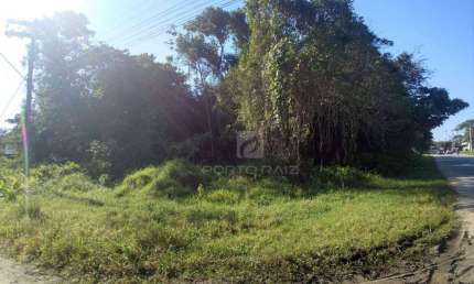 Terreno à venda, 995 m² por R$ 120.000,00 - Jardim Coronel - Itanhaém/SP