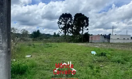 Terreno à venda na Rua Ignez Gazzola Cruz, 13, Rio Pequeno, São José dos Pinhais