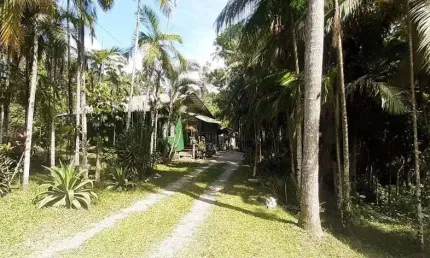 Chácara 2 dormitórios à venda Morretes Balneário Piçarras/SC