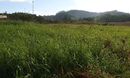 Área à venda, 72513 m² por r$ 20.000.000,00 - itapocú - araquari/sc