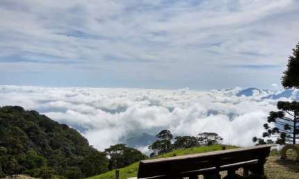 Chácara / sítio com 3 quartos à venda na Zona Rural, Bananal 