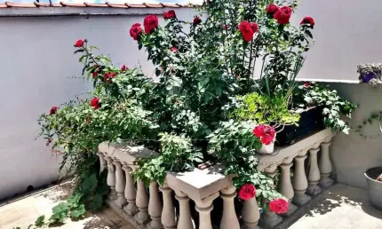 Casa com 3 quartos à venda na Mogi-guaçu, 260, Cidade Jardim, Sorocaba