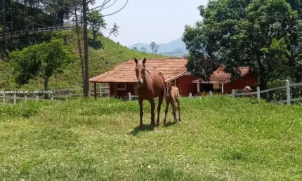 Sítio para venda em são josé dos campos /sp no bairro área rural