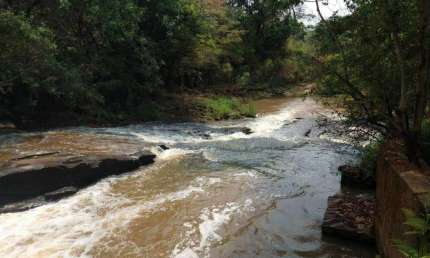 Chácara / sítio à venda na Zona Rural, Florestal 