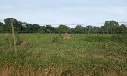 Chácara / sítio à venda na Zona Rural, São José da Varginha 