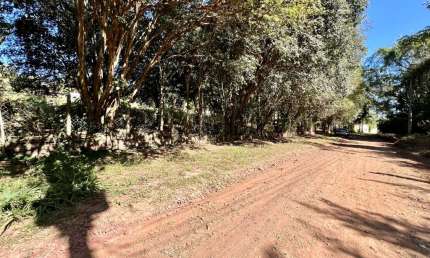 Chácara / sítio à venda na Rua Luiz Trevisan, Jardim do Lago, Araras