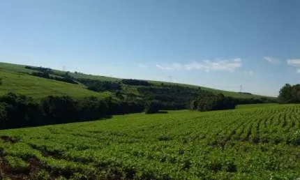 SÍTIO DISTRITO SÃO JOÃO - CIDADE DE CASCAVEL - 19 ALQUEIRES COM AÇUDES