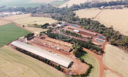 ÁREA RURAL A VENDA EM TOLEDO, DISTRITO DE NOVO SOBRADINHO, TOLEDO - PR