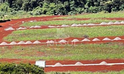 TERRENO A VENDA NO JARDIM PANORAMICO II - PRÓXIMO UNIOESTE