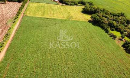 Chácara rural de 5 alqueires localizada no município de Santa Tereza do Oeste.