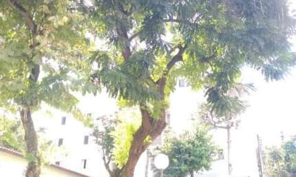 Apartamento para Venda em Mogi das Cruzes, Jardim Marica, 2 dormitórios, 1 banheiro, 1 vaga