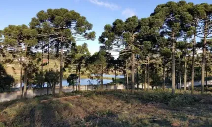 Terreno com 1.038,58m² em Piraquara - Condomínio Residencial Betaville