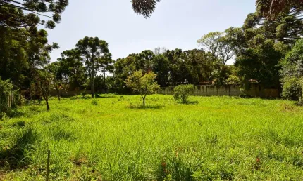 Terreno à venda na Rua João Baptista Groff, 672, Orleans, Curitiba