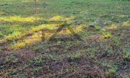 Terreno para Venda em São José / SC no bairro Forquilhas