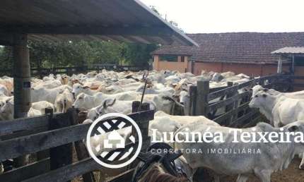 Fazenda à venda no Centro, Araruama 