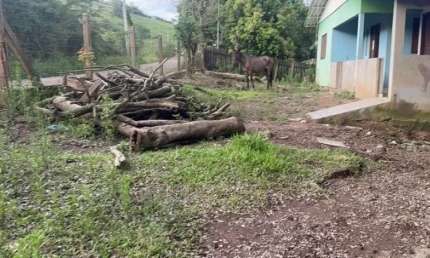 124848 CHACARA EM SANTO ANTÔNIO DA PATRULHA RS COM 2 CASAS , ÁGUA ENCANADA, LUZ E FIBRA ÓTICA