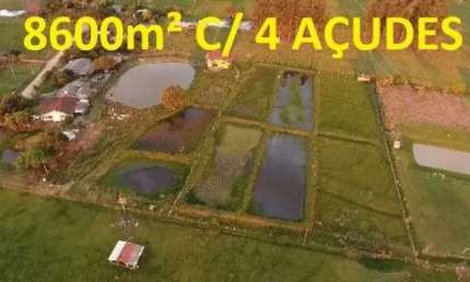 [85737]  CHÁCARA COM QUATRO AÇUDES EM SANTO ANTÔNIO DA PATRULHA