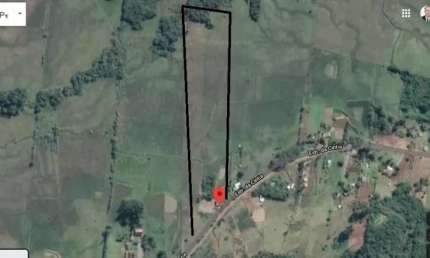 [ 85479]  SÍTIO COM AÇUDE E POMAR EM SANTO ANTÔNIO DA PATRULHA