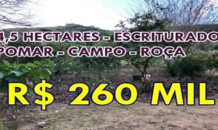 [85651]  SÍTIO ESCRITURADO EM SANTO ANTÔNIO DA PATRULHA COM 4,5 HECTARES
